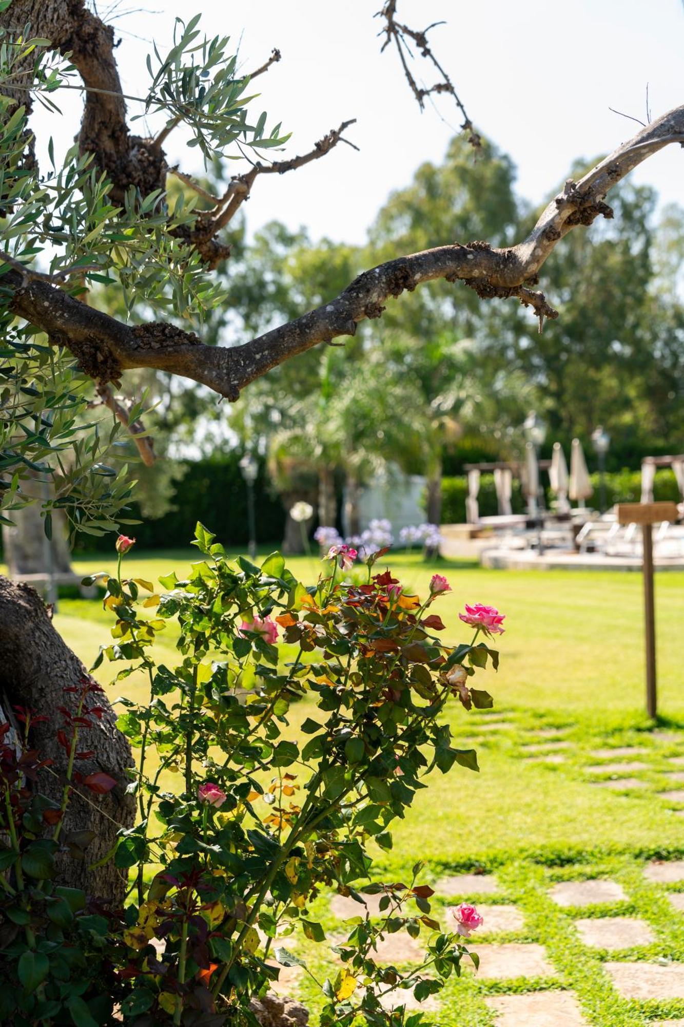 Masseria Giamarra Carpignano Salentino Eksteriør bilde